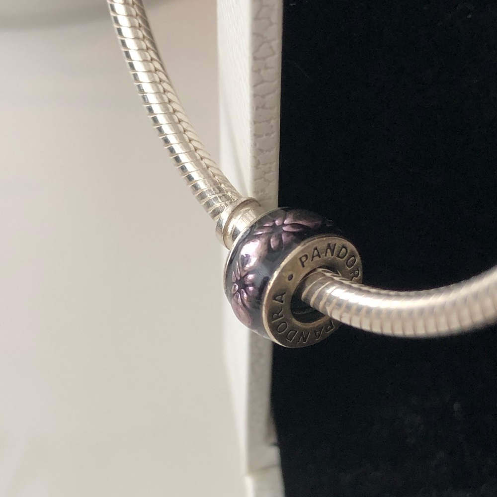 Pandora Charm/ Bead